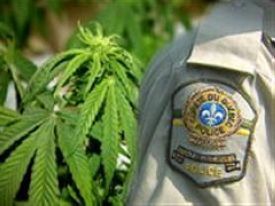 Saisie de drogue et arrestations à Sainte-Ursule