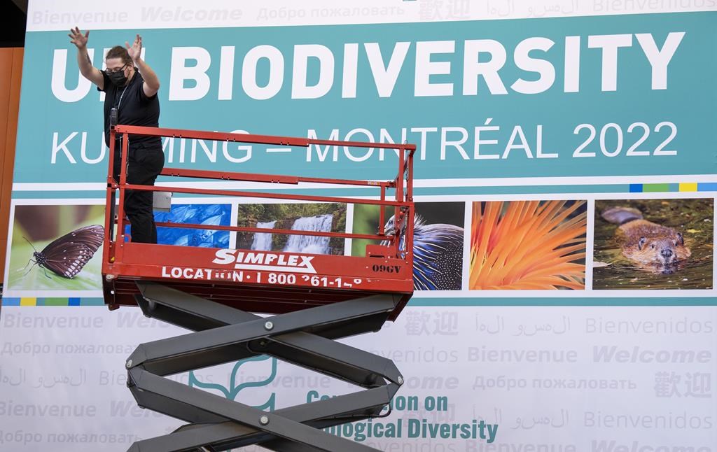 Montréal: la plus grande COP sur la biodiversité jamais organisée