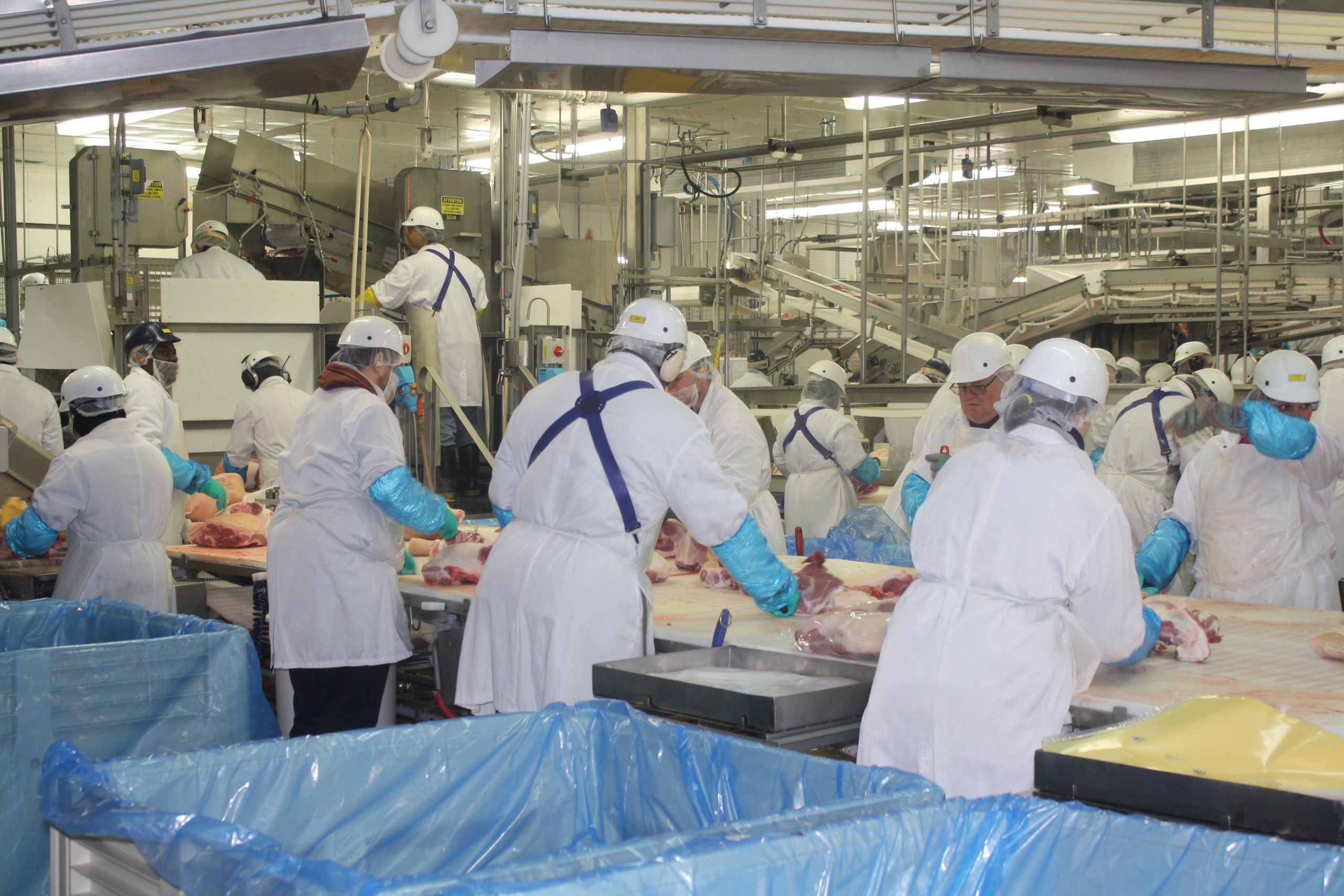 Olymel réouvrira son abattoir de Yamachiche mardi L’Écho de Maskinongé