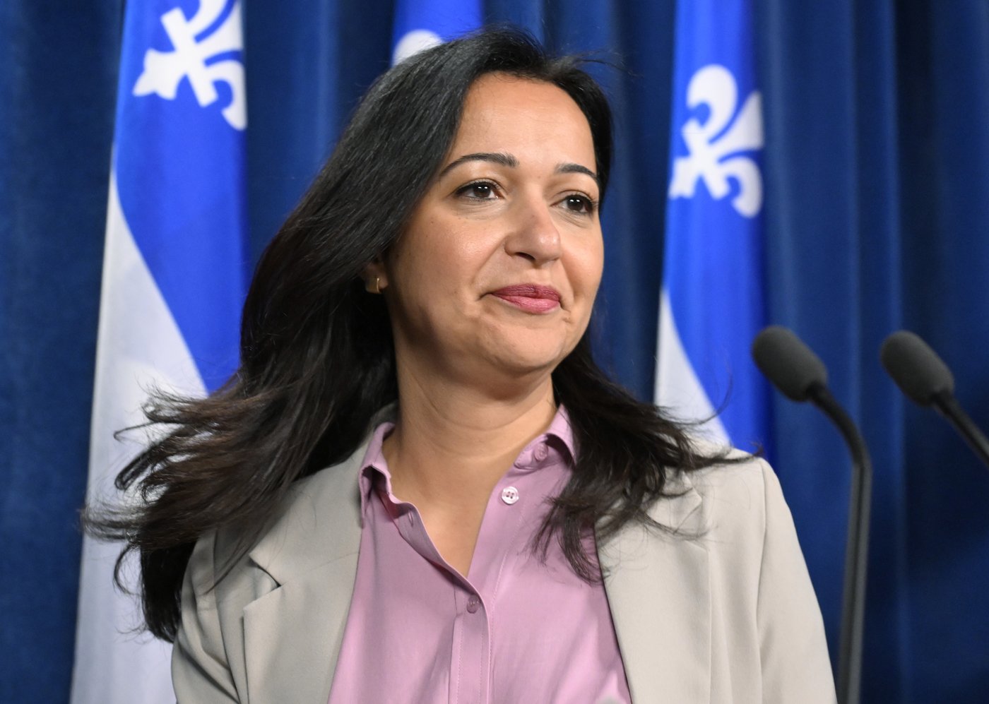 Violence conjugale : QS promet 57 millions $ pour augmenter le nombre de refuges