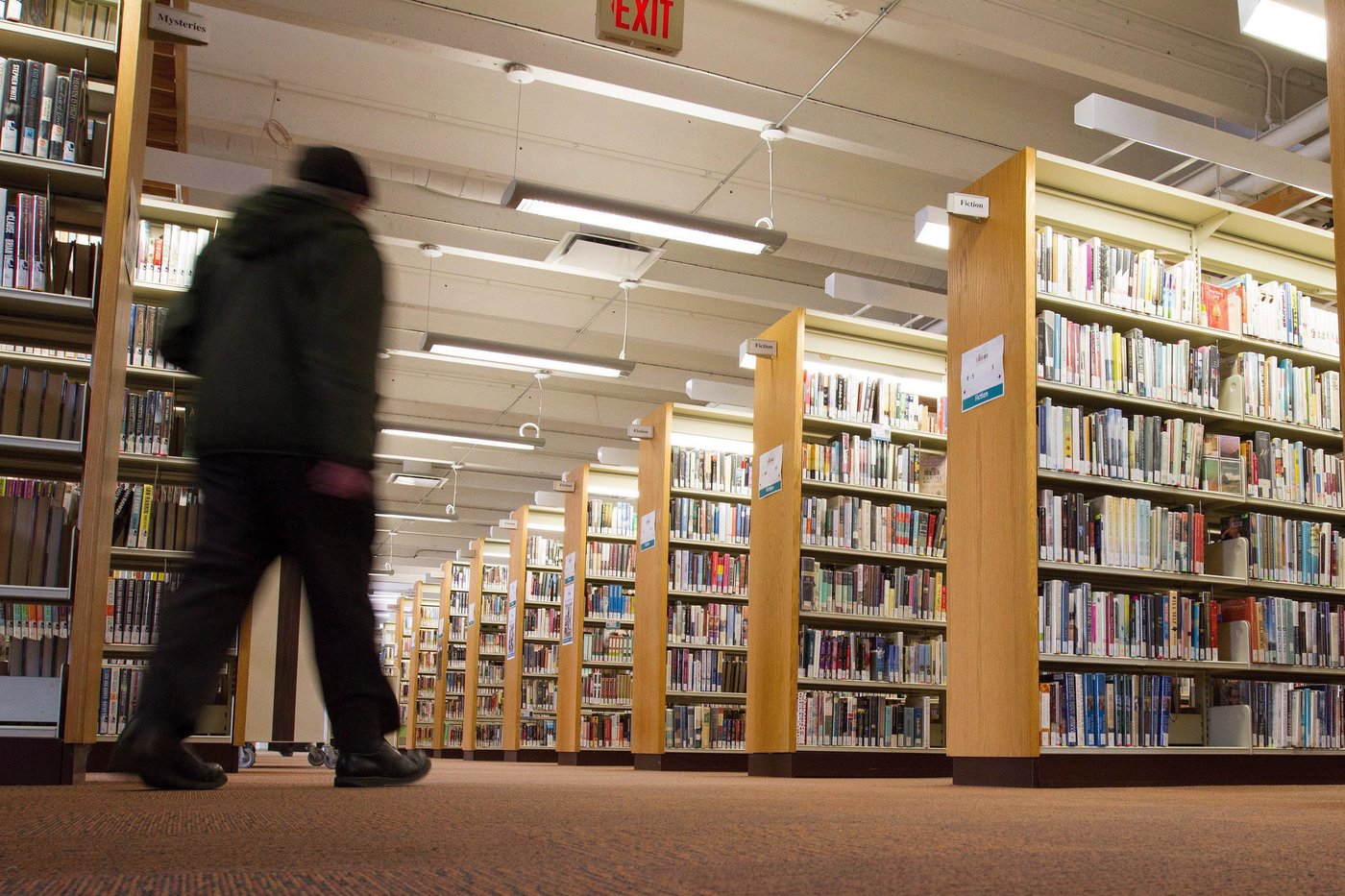 Nuit de la lecture : 40 auteurs offrent des séances de lecture en ligne